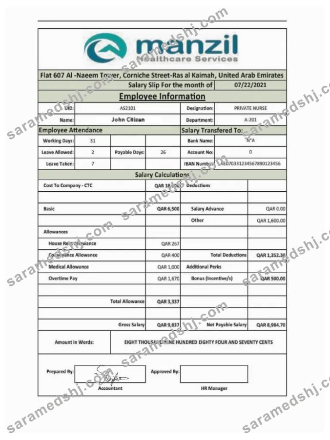UAE MANZIL Healthcare Services salary slip in Word and PDF formats